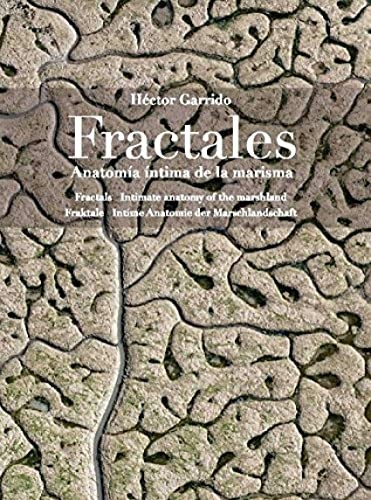 Fractales