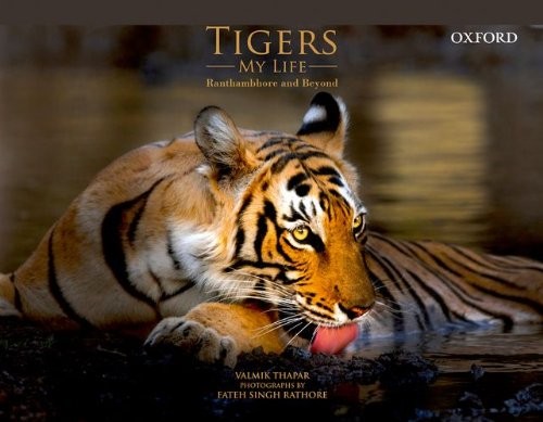 Tigers