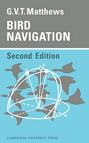 Bird migration