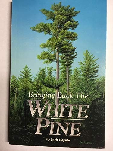 Bringing back the white pine