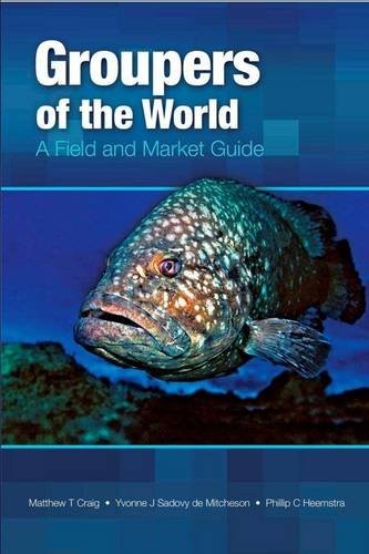 Groupers of the world