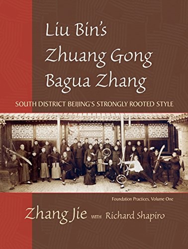 Liu bin's zhuong gong bagua zhang