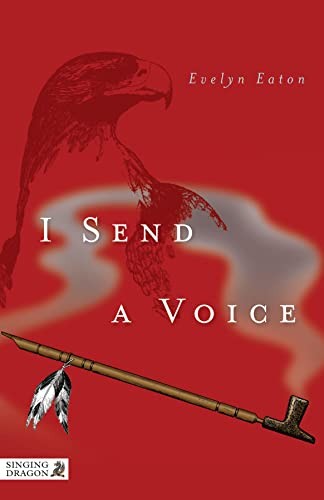 I send a voice