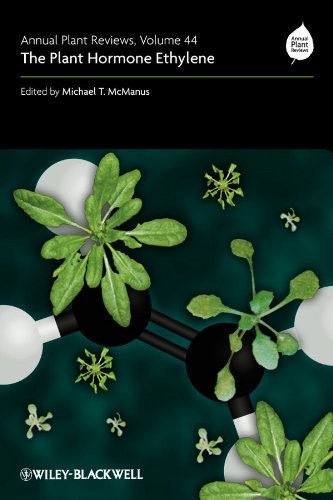 The plant hormone ethylene