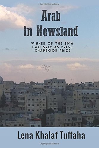Arab In Newsland
