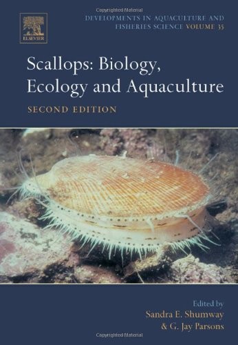 Scallops