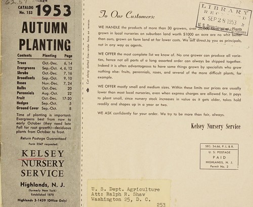 1953 autumn planting
