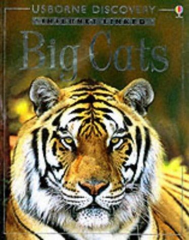 Discovery Programme Big Cats (Internet-linked Discovery)