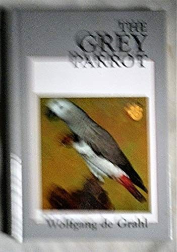 Grey Parrot
