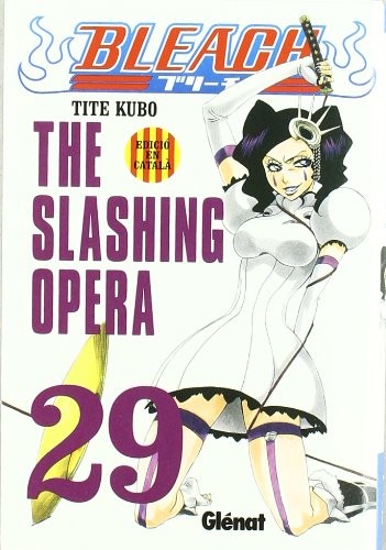 Bleach 29