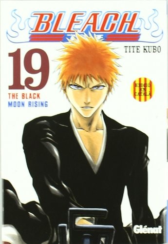 Bleach 19