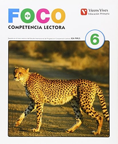 FOCO 6