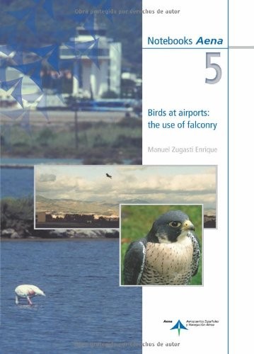 Birds at airports