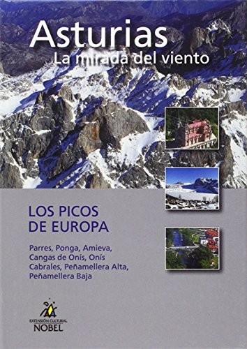 LIBRODVD14 : ASTURIAS LA MIRADA DEL VIENTO