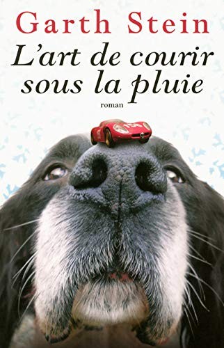L'art de courir sous la pluie