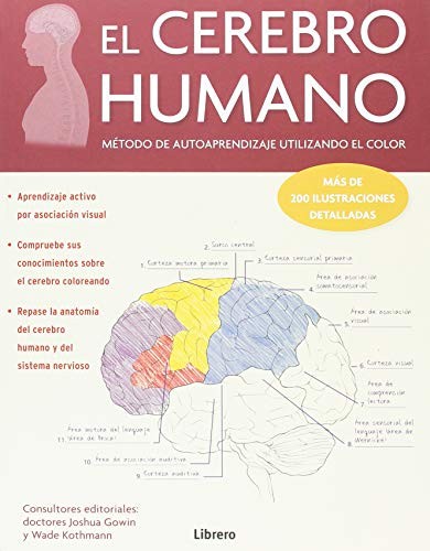 CEREBRO HUMANO, EL
