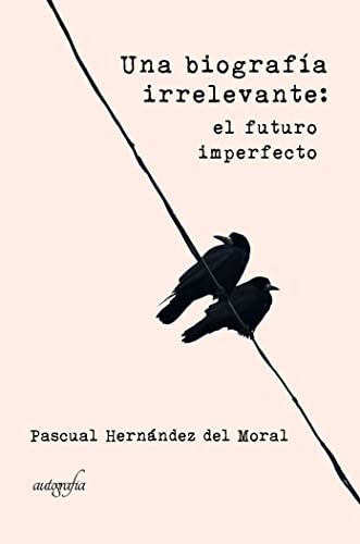Una biografía irrelevante