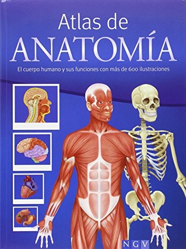 Atlas de anatomía