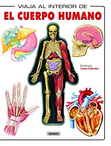 El cuerpo humano
