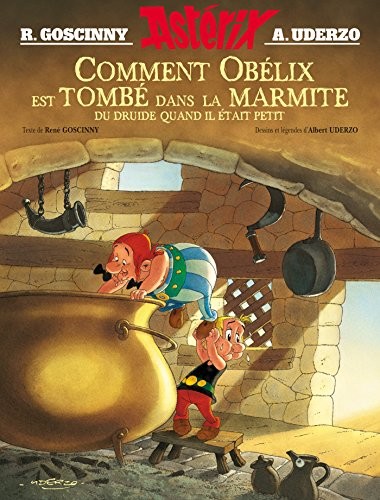 Comment Obelix est tombe dans la marmite du druide...