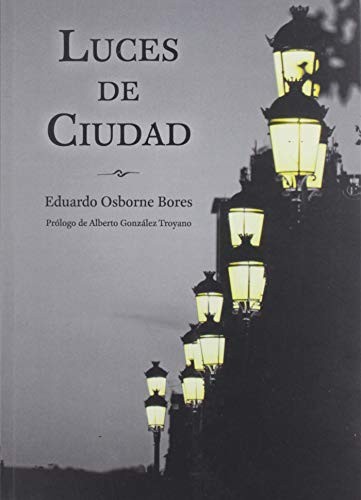 Luces de ciudad