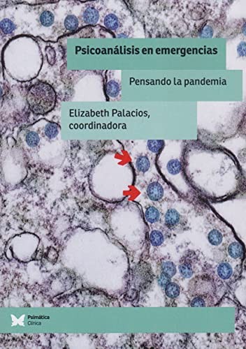 Psicoanálisis en emergencias