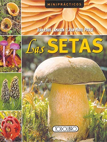 Las setas