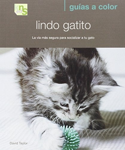 Lindo gatito