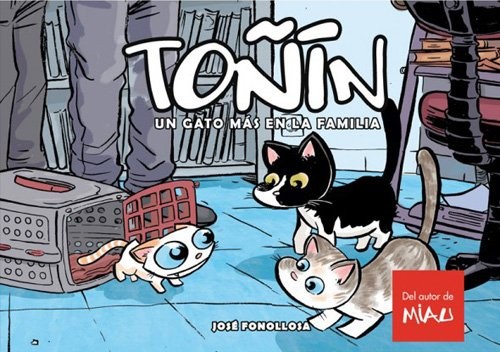 Toñín, un gato más en la familia