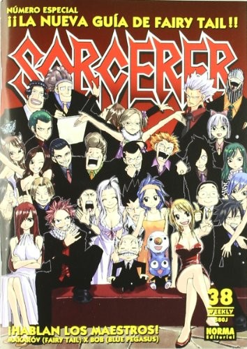 FAIRY TAIL SORCERER