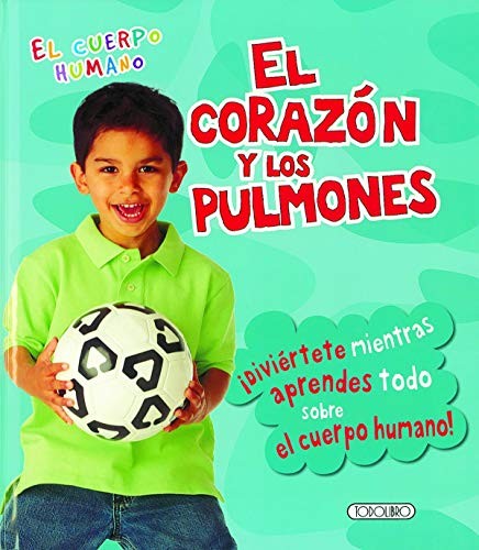 El corazón y los pulmones
