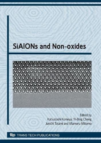 SiAIONs and non-oxides