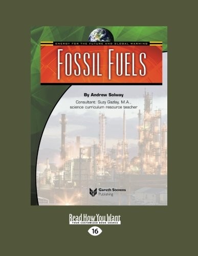 Energy for the Future and Global Warming