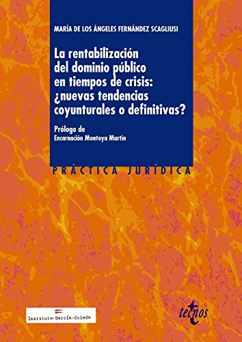 La rentabilización del dominio público en tiempos de crisis