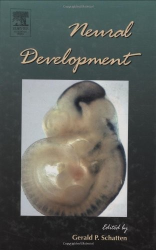 Neural development