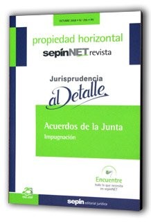 Acuerdos de la Junta. Impugnación