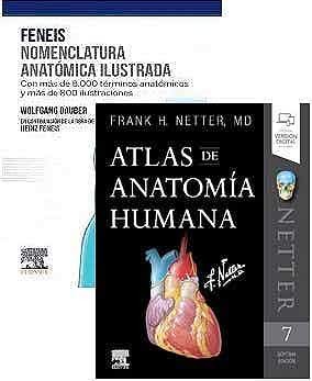 Lote Feneis Netter