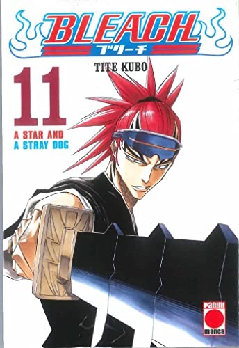 Bleach 11