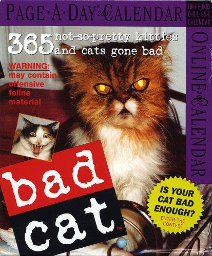 Bad Cat Page-A-Day Calendar 2007 (Page-A-Day Calendars)