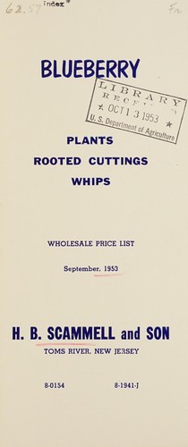 Blueberry plants, rooted cuttings, whips