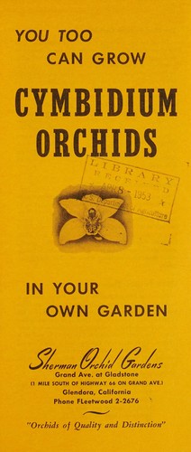 You too can grow cymbidium orchids in your own garden