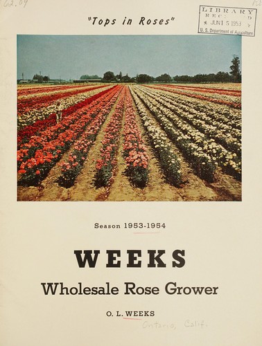 Season 1953-1954