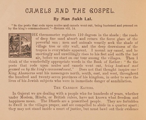 Camels and the Gospel