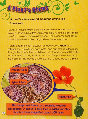 What do roots, stems, leaves, and flowers do?