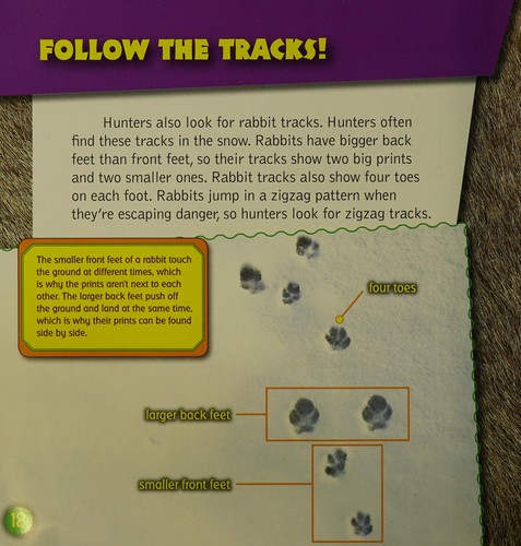 How to track a rabbit