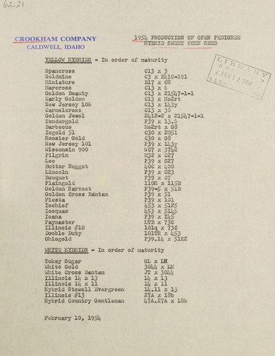 1954 production of open pedigree hybrid sweet corn seed