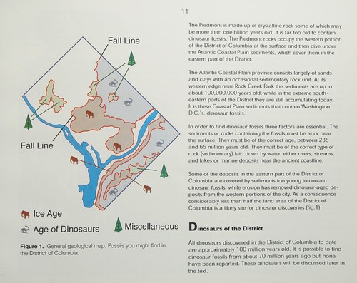 Dinosaurs of the District of Columbia