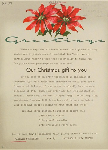 Our Christmas gift to you