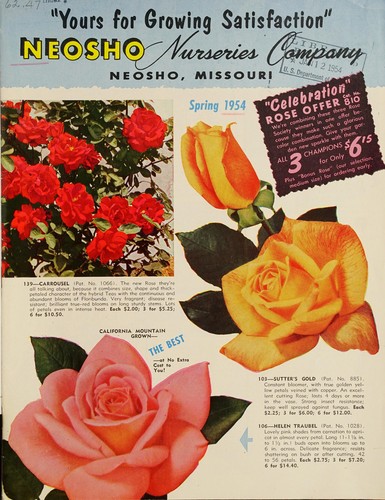 Spring 1954