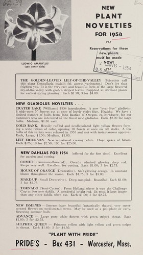 New plant novelties for 1954